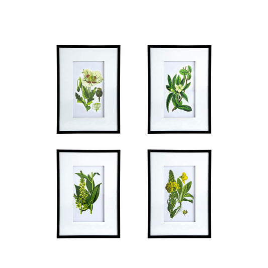 Botanical Flower Wall Art, Home Decor For Living Room Dining Room, Bedroom, Hallway (Set of 4) - White / Blue