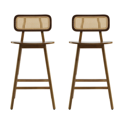 Bari - Indoor Wood Barstool (Set of 2)