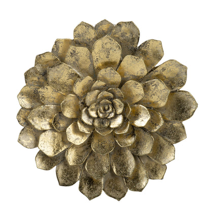 Succulent Wall Plaque