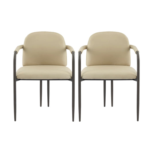 Modern Dining Chair (Set of 2) With Iron Frame - Espresso / Khaki
