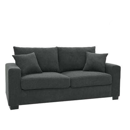 2 Seater Sofa, 2 Throw Pillows For Living Room
