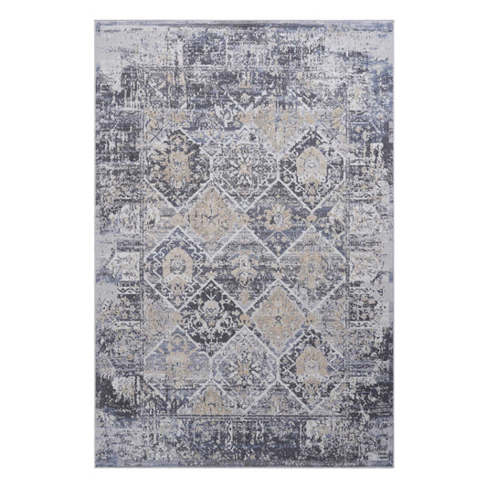 Payas - 6' X 9' Traditional Area Rug - Gray / Blue