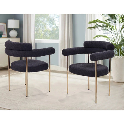 Upholstered Accent Dining Chairs With Armrests (Set of 2)