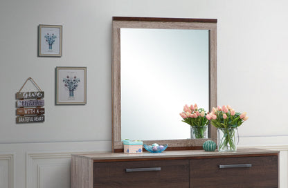 Magnolia - Mirror - Gray
