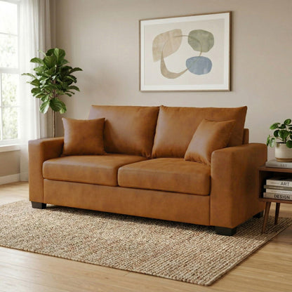 2 Seater Sofa, 2 Throw Pillows For Living Room