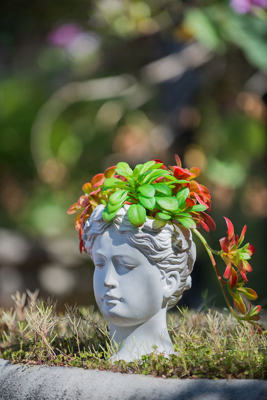 Greek Style Cement Head Planter Indoor Outdoor Home Garden Decor - Gray