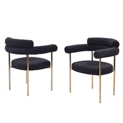 Upholstered Accent Dining Chairs With Armrests (Set of 2)