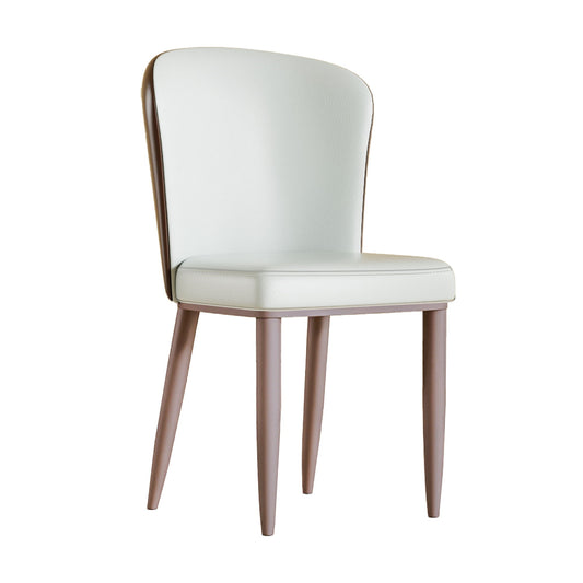 Dining Chair With Carbon Steel Legs, Comfortable Seating, (Set of 2) - White