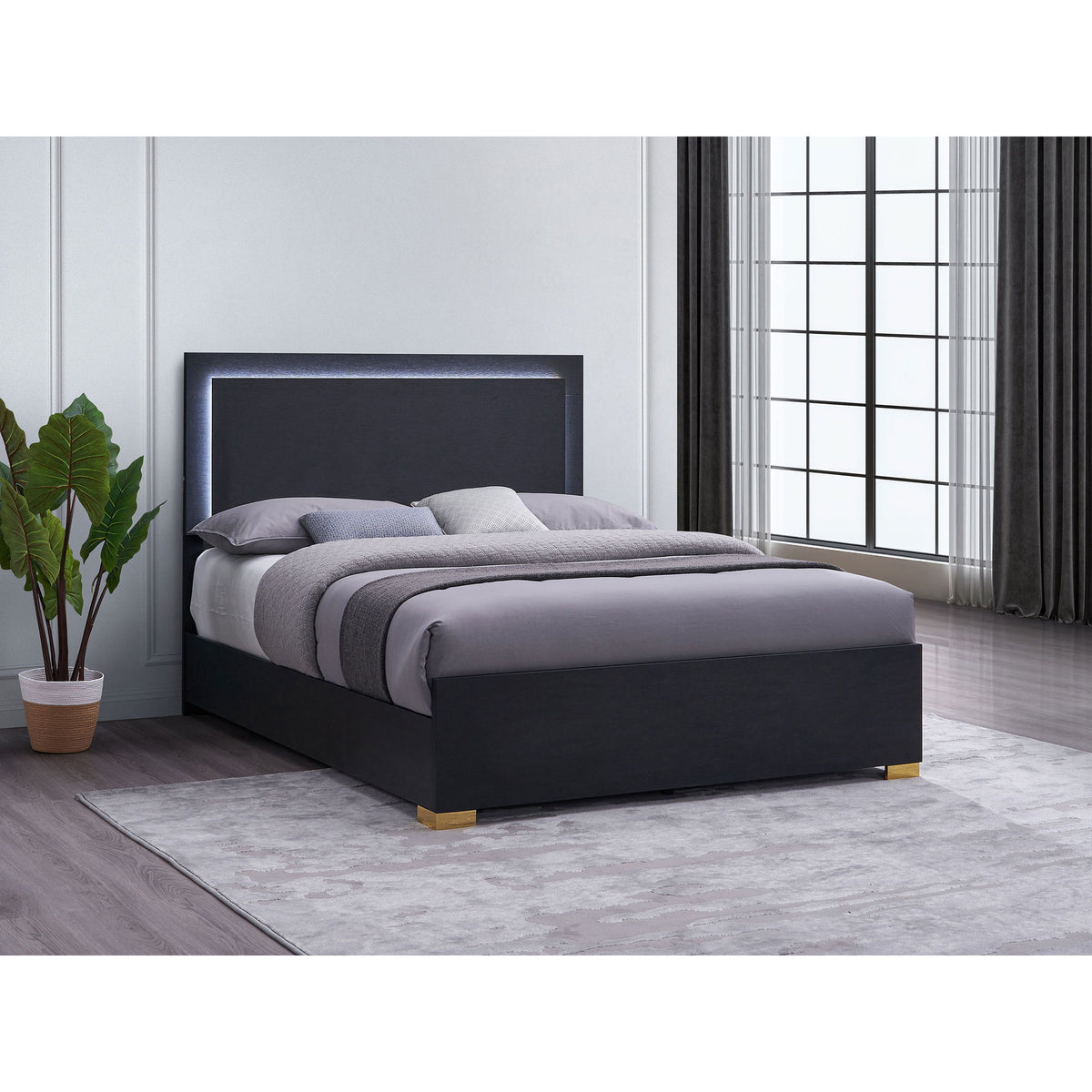 Medici - Eastern King LED Headboard Bed - Black