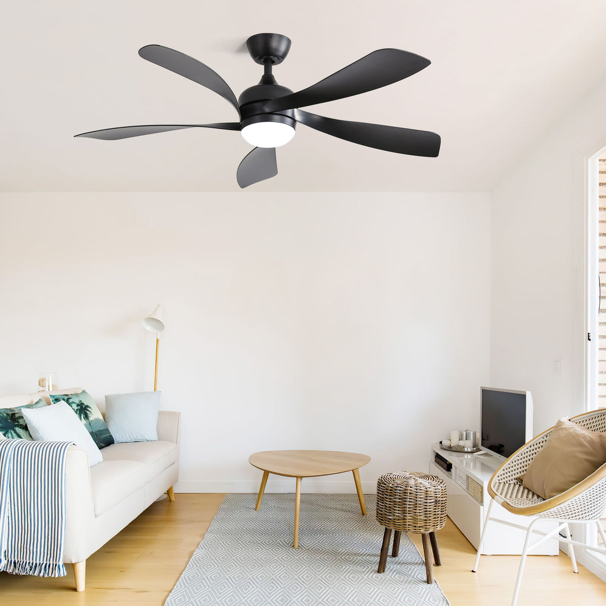 Ceiling Fan & DC Motor And Integrated Light
