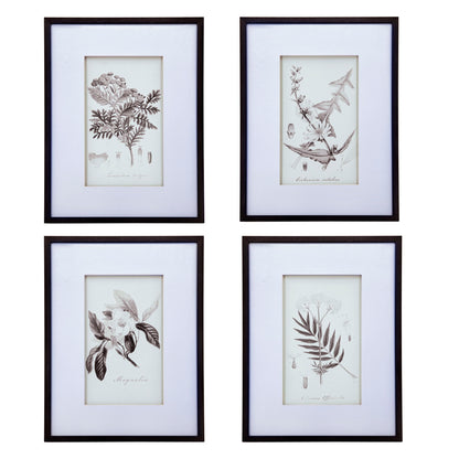 Botanical Wall Art Prints, Home Decor For Living Room Dining Room, Bedroom, Hallway (Set of 4) - White / Black