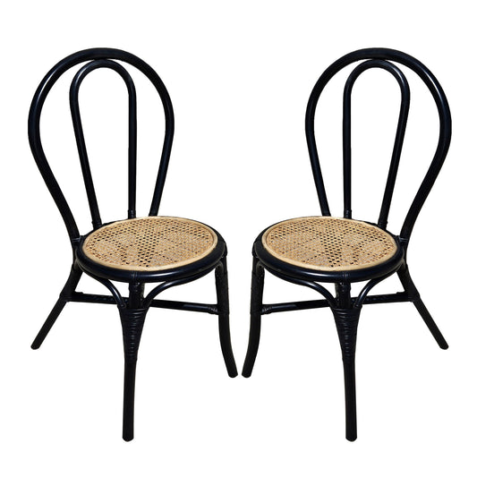 Rattan Dining Chair (Set of 2) - Black Multi